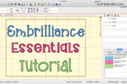 Sip & Stitch no. 3: Embrilliance Essentials Tutorial